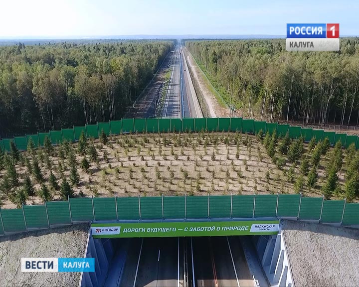 В Калужской области открыли первый в России экодук.