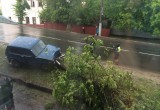 ДТП со сбитой школьницей на Салтыкова-Щедрина попало на запись видеорегистратора
