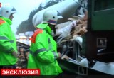 Видео и подробности страшной массовой аварии на Киевской трассе