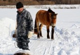 Артамонов предложил лесникам пересесть на лошадей 