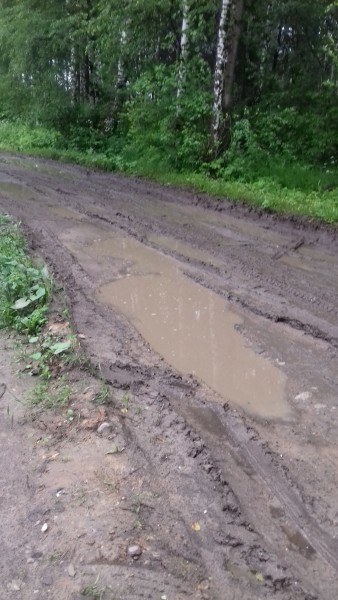 Дорога в Муратовке Дорога в Муратовке