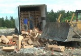 В Калужской области уничтожено почти 20 тонн санкционных яблок