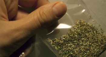 В Обнинске у мужчины изъяли марихуану