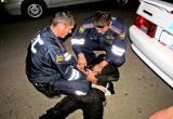 Пьяный водитель осужден за драку с инспекторами ДПС