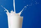 В Калужской области производили фальсифицированное молоко