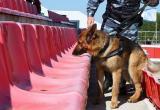 Перед матчем "Калуга" - "Торпедо" стадион проверят собаки