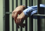 Калужский педофил и порнограф осужден на 17 лет