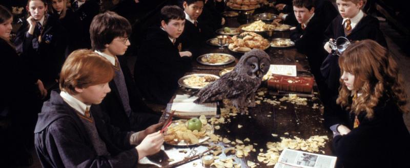Калужских школьников приглашают в летний лагерь по мотивам Гарри Поттера