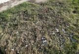 Фото: Kaluga-poisk.ru Фото: Kaluga-poisk.ru