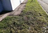 Фото: Kaluga-poisk.ru Фото: Kaluga-poisk.ru
