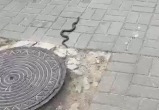скрин видео Вероники Матюшиной скрин видео Вероники Матюшиной