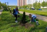 Городское хозяйство Калуги Городское хозяйство Калуги