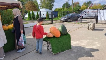 В Калуге стартовал городской конкурс