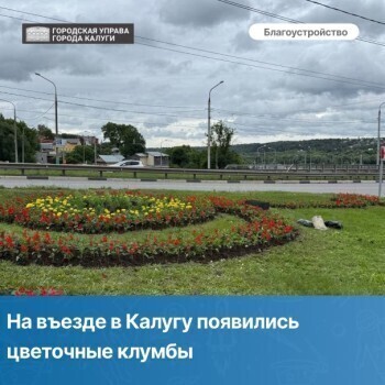 В Калуге привели в порядок медведей у