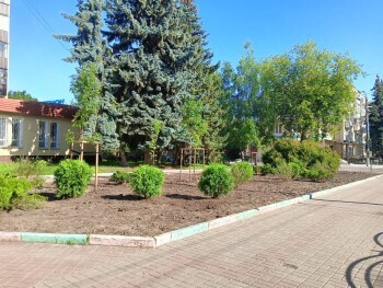 В центре Калуги озеленили три территории