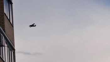 В Кировском районе сбили 4 БПЛА