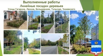 В Калуге вырубят еще 2000 зараженных деревьев и посадят 150 крупномерных саженцев