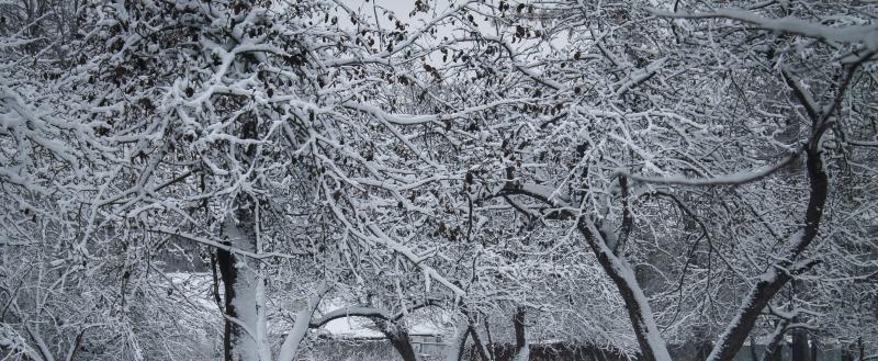 Фото: Kaluga-poisk.ru