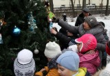 Константин Горобцов нарядил городскую новогоднюю елку 