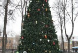 Константин Горобцов нарядил городскую новогоднюю елку 