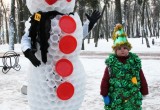 В калужском парке прошел городской фестиваль «Новогодний маскарад»