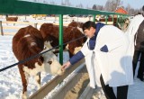 Сразу две семейные животноводческие фермы открылись в Барятинском районе