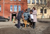 Калужские кинологи со служебными собаками посетили школу-интернат