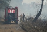 Крупный природный пожар чуть не спалил деревню в Калуге