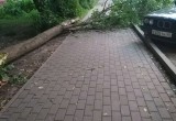 Страшный ураган в Калуге. Фотографии и видео 