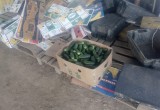 Полиция и ФСБ собрали урожай нелегалов в тарусских теплицах