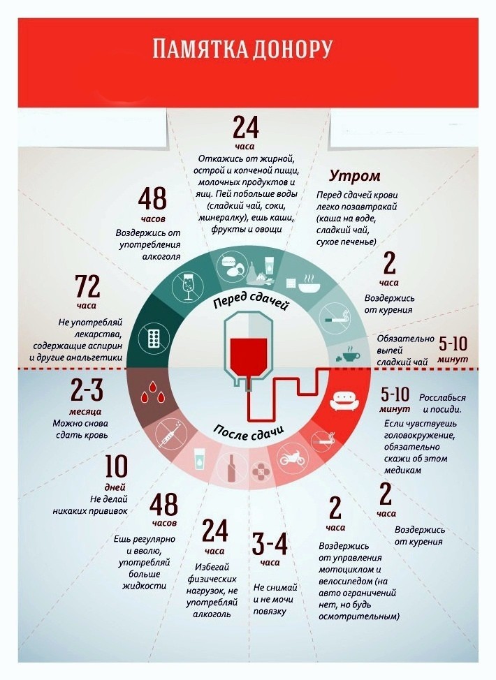 Диета Перед Донорством