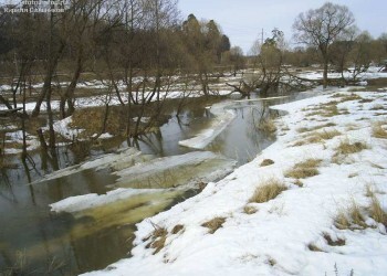 Прокуратура: плотина на реке в Калуге не отвечает требованиям безопасности!