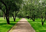 Губернский парк на 44 га пообещали сдать уже ко Дню города Калуги