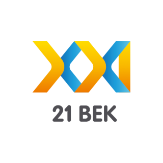 21 век