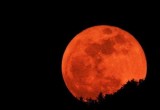 Калужане смогут увидеть «кровавую» луну и затмение