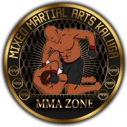 MMA ZONE, клуб боев смешанного стиля