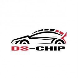 DS-CHIP 