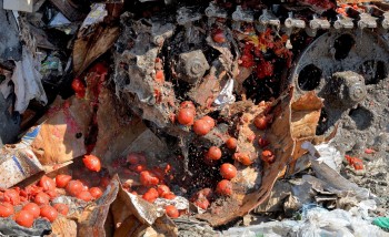 В Калужской области уничтожили 627 кг санкционных продуктов