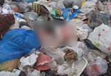 На мусорной свалке обнаружили расчлененный труп