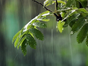 Дожди и грозы принесут в Калугу похолодание