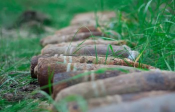 На огороде в калужской деревне нашли схрон артиллерийских снарядов