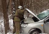 В Калуге автомобилистка не справилась с управлением и врезалась в дерево