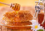 В Калуге пройдёт праздник мёда «Медовый спас»