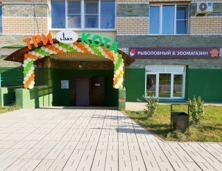 Три Кота