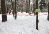 В Обнинске открылся пункт приема живых ёлок
