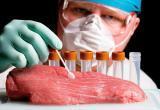 Кишечная палочка обнаружена в мясе и молоке калужских предприятий