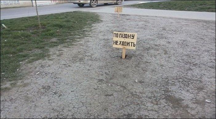 Для чего у нас "газоны" вообще? Для чего у нас "газоны" вообще?
