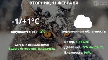Прогноз погоды в Калуге на 11 февраля