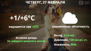 Прогноз погоды в Калуге на 27 февраля