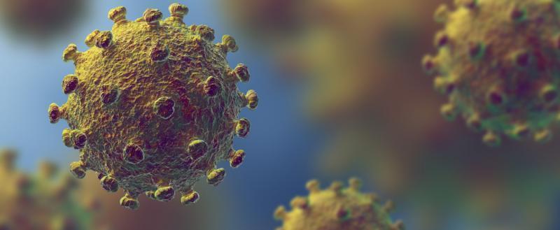 Молекула коронавируса, фото из интернета